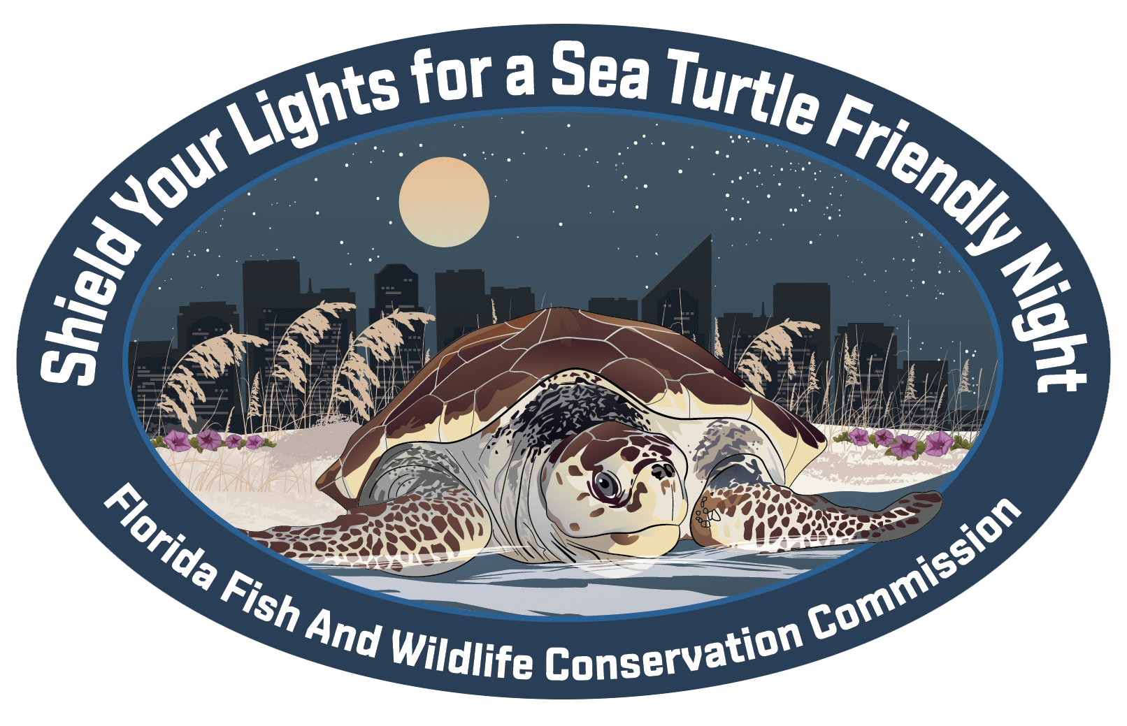 sea turtle decal