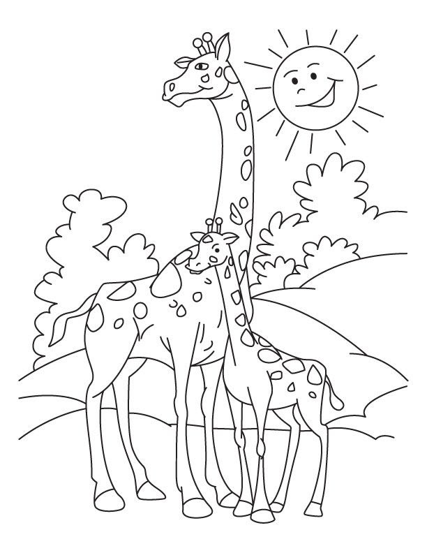 Bubakids hatchimals girreo coloring pages and printable coloring, girreo, hatchimals, pages, printable for preschool, kindergarten and elementary school. Free Cartoon Giraffe Coloring Pages Download Free Cartoon Giraffe Coloring Pages Png Images Free Cliparts On Clipart Library