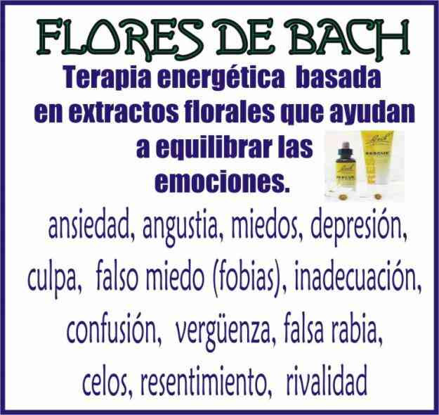 Resultado de imagen para imagen TERAPIAS FLORALES BACH