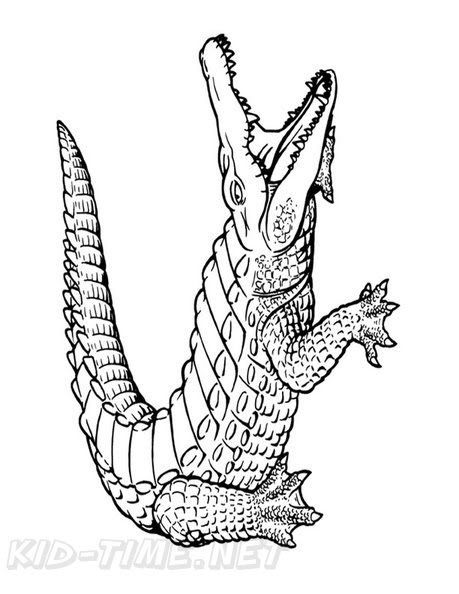 Zentangle crocodile coloring pages for adults and children. Crocodile Coloring Book Page Free Coloring Book Pages Printables