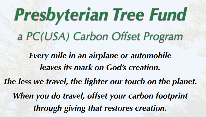 Presbyterian Tree Fund Flyer