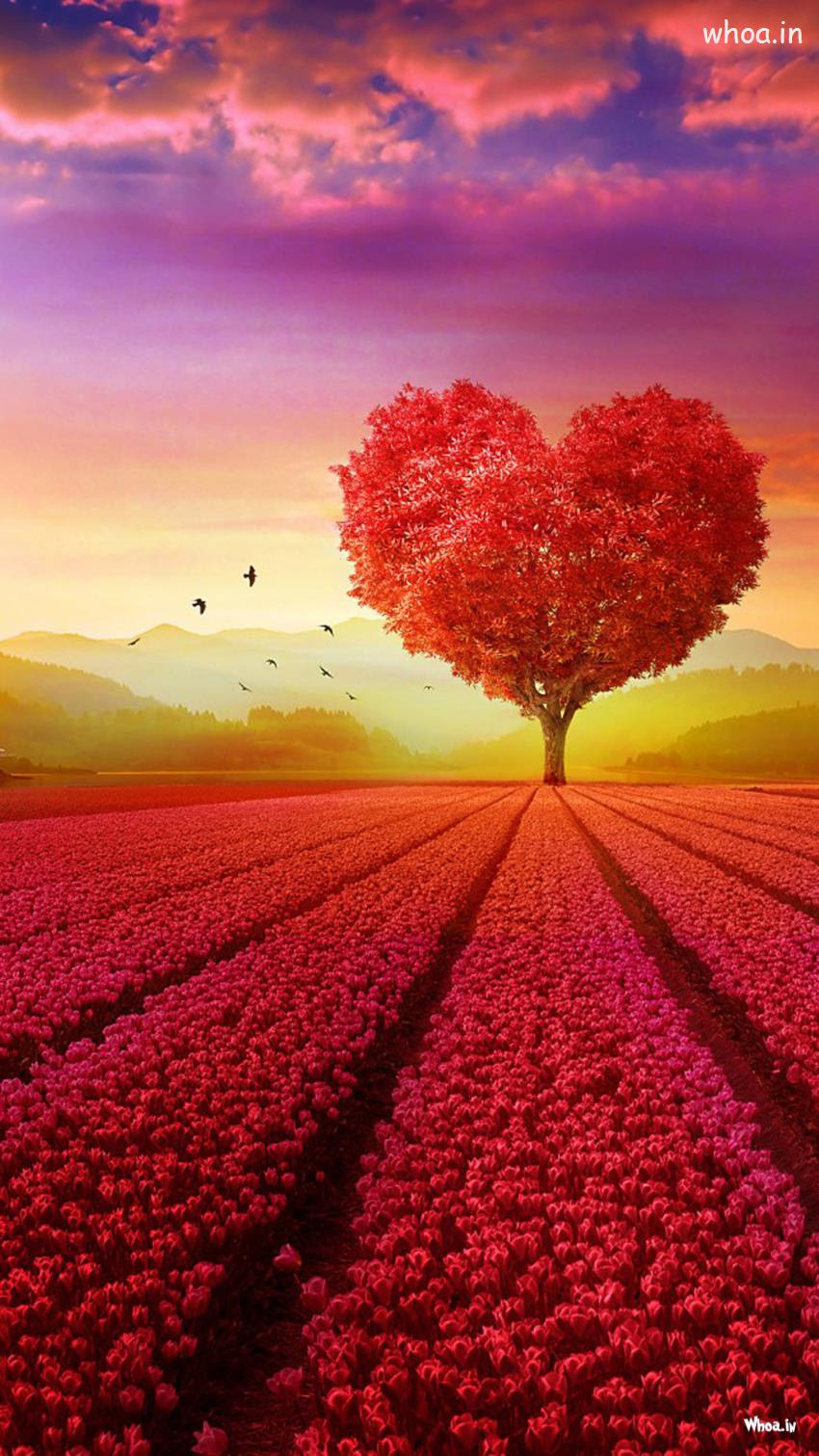 Here we present you desktop backgrounds that you can download for free in different sizes. Mobile Wallpapers Hd Images Background Wallpapers 5 Mobile Wallpaper Wallpaper
