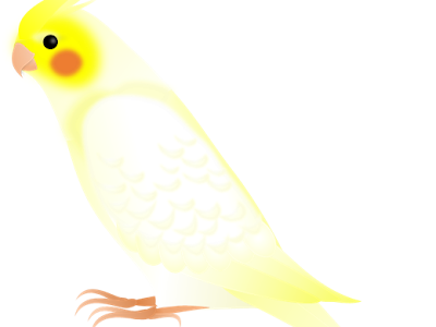 【印刷可能】 フリーイラスト 可愛い オカメインコ イラスト 985164