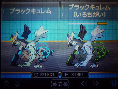 最良の選択 ポケモン ブラック キュレム 色 違い 100 で最高の画像
