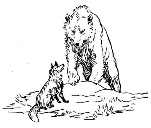 0 response to 34 wolf zum ausdrucken post a comment. Ausmalbild Bar Und Wolf Ausmalbilder Kostenlos Zum Ausdrucken