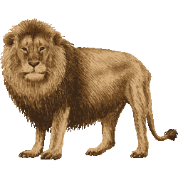 壮大 ライオン イラスト リアル イラストトップ画像