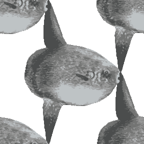マンボー イラスト 1456 マンボウ イラスト フリー Gazojplabs