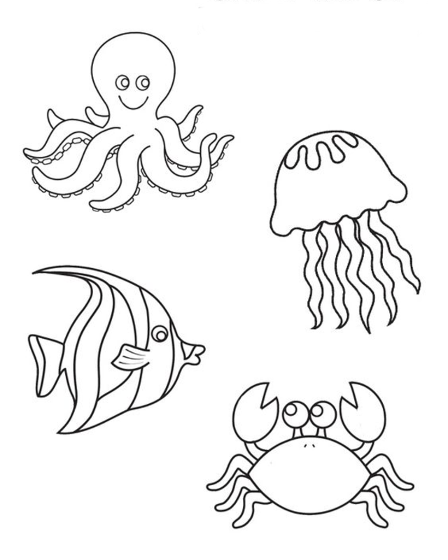 desenho para bordado animais marinhos