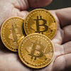 How Much Will 1 Bitcoin Be Worth In 2040 : Bitcoin Return Calculator - Investment on Any Date and ... / On november 6, the btc rate reached $0.35 on the bitcoin market and $0.5 on mt.gox.