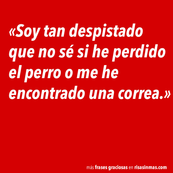 Soy tan despistado