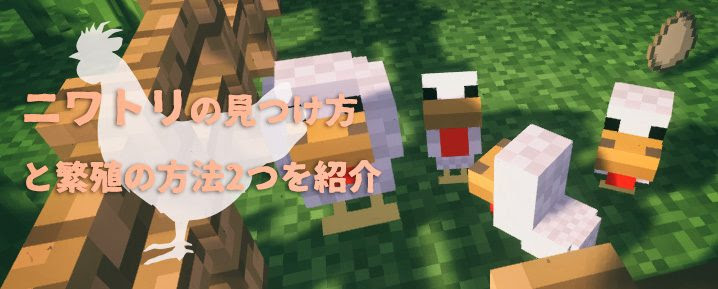 動物画像無料 最新イラスト ニワトリ マイクラ