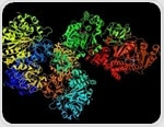 Cell-Matrix Adhesion Overview