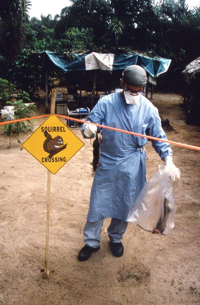 This is the first time the. Monkeypox In Nigeria Outbreak Observatory