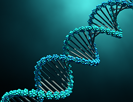 DNA Molecule