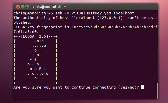 A free ssh tunnel account will maintain your privacy in nearly any application you configure it with, whether it be for games, voip, p2p or your web browser. Ssh Tips