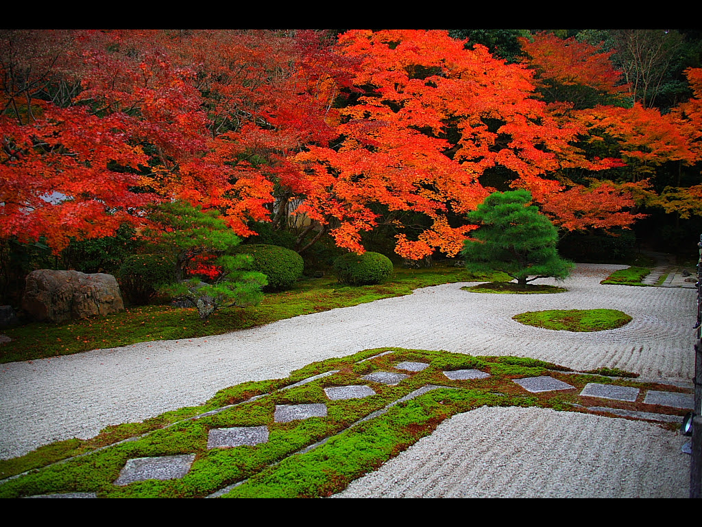 トップ100 枯山水 壁紙 最高の花の画像