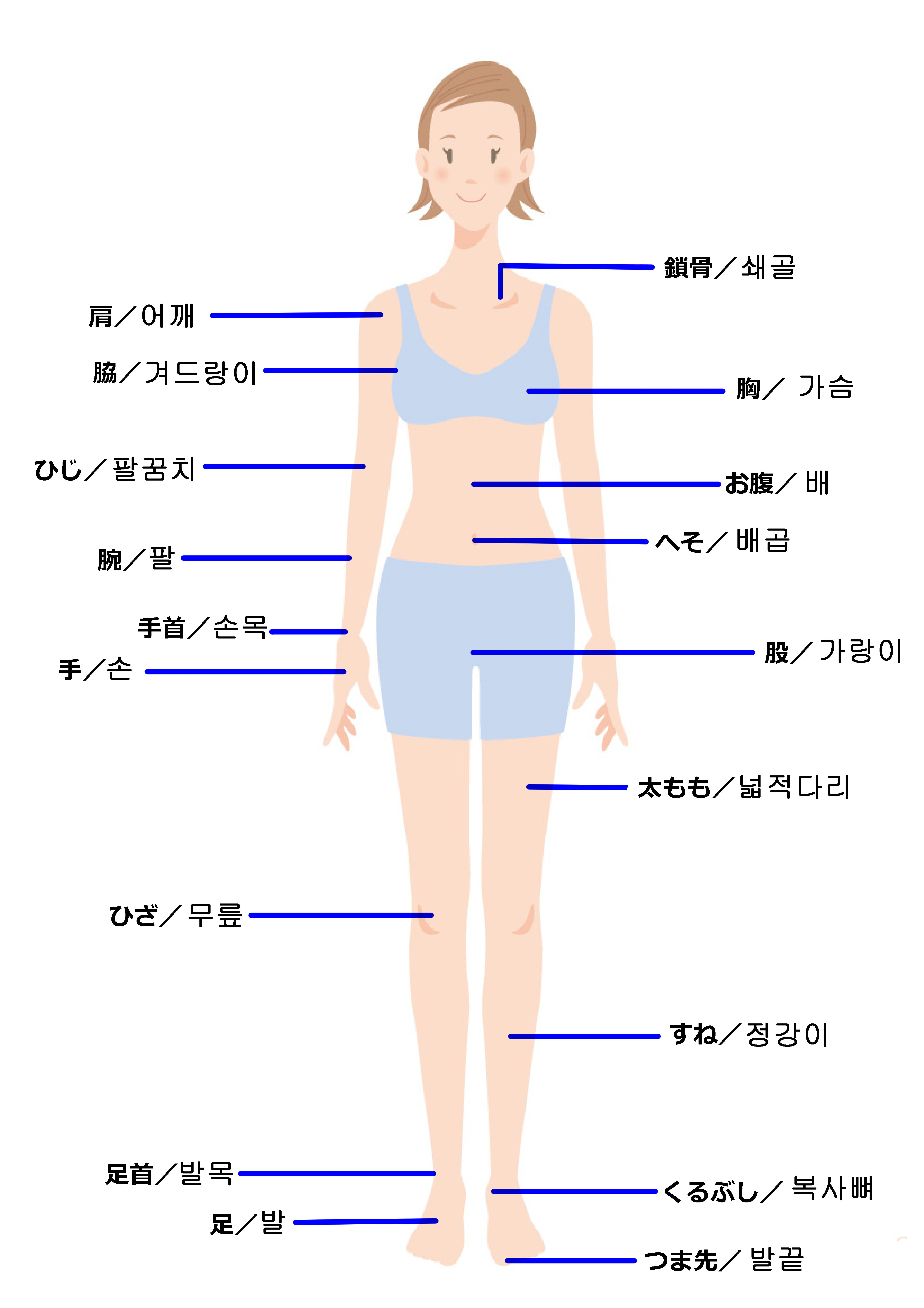 ロイヤリティフリー体部位名称 ただぬりえ