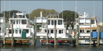 Red snapper charter vessels