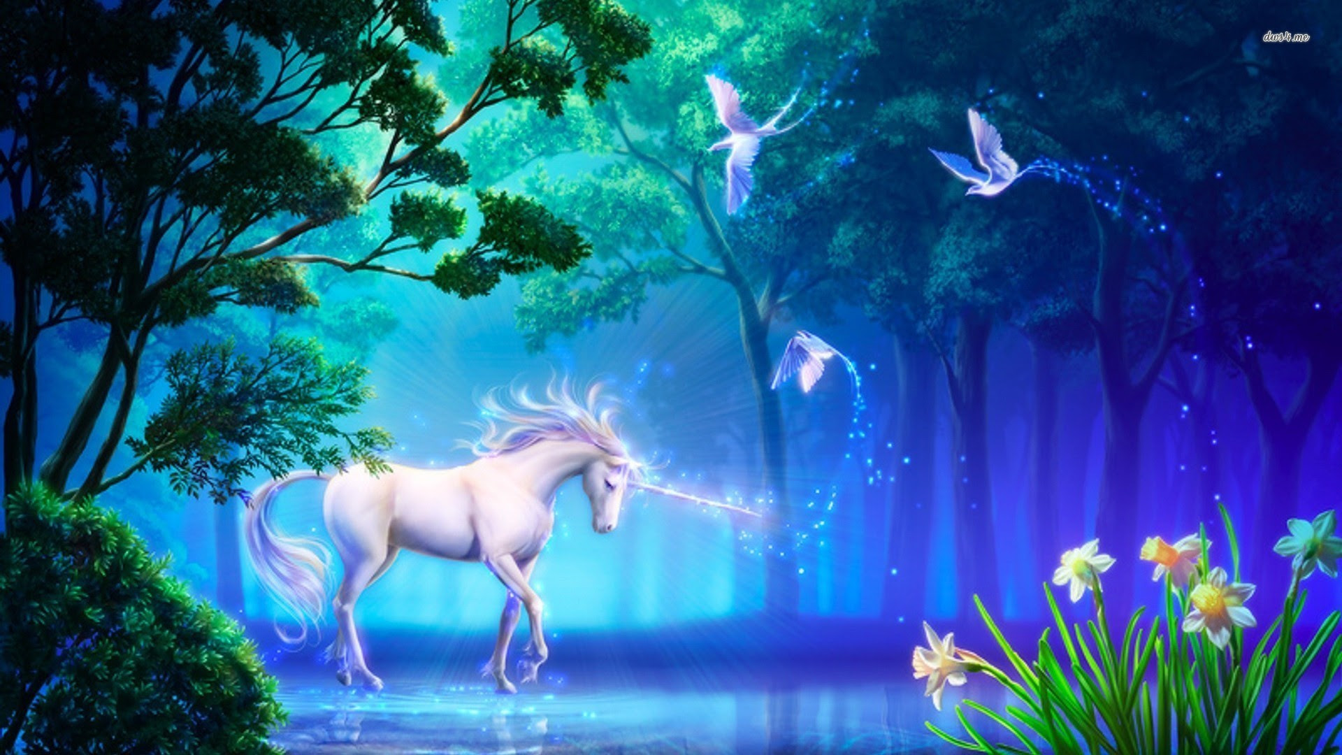 Gambar Unicorn Lucu Wallpaper Galaxy