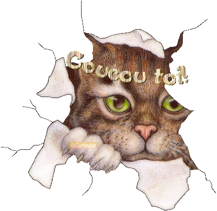 Nouveau Pour Image Animee Humour Coucou Abdofolio