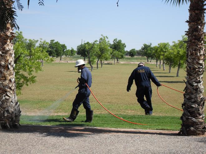 We scored 152 pest control companies in el paso, tx and picked the top 10. Atc Pest Control El Paso Texas 79912 79911 79925 79924 79936 79938 79901 79903 88021 88088 79902 79904 79905 79907 79908 79915 79922 79927 79930 79928