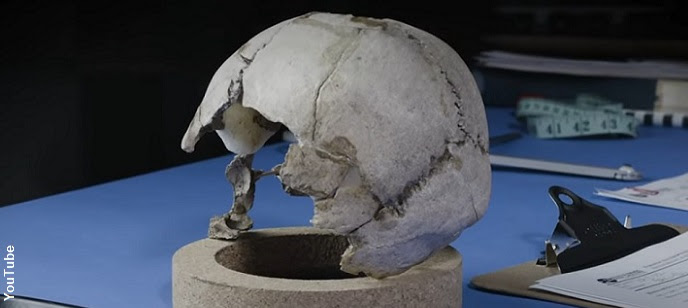 Earhart Skull