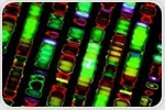 What is the Human Genome?