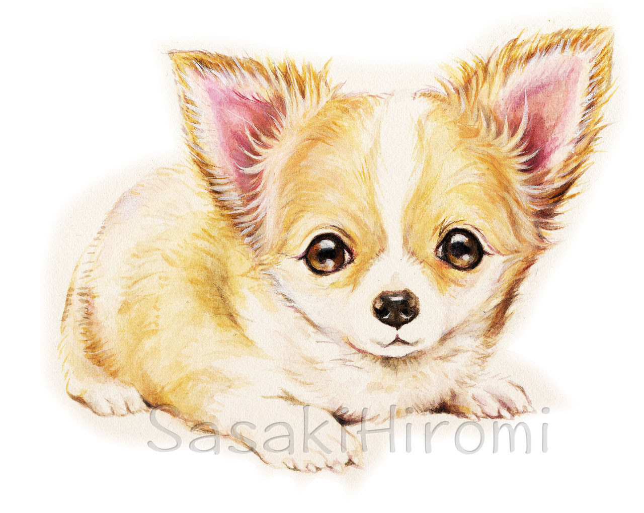 手書き 犬 イラスト リアル 鉛筆 最高の壁紙のアイデアcahd