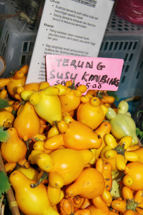 Makanan Ubat Sakit Tekak - Pertanyaan s