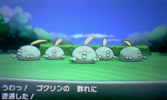 25 群れバトル 色違い 1760 群れバトル 色違い 確率