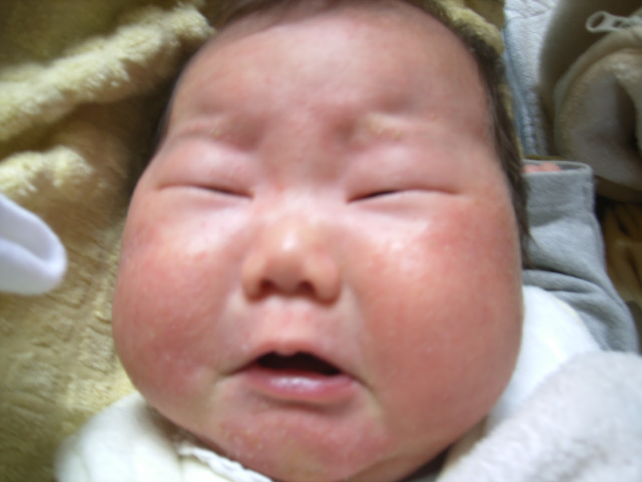 上赤ちゃん 可愛い顔 最高の動物画像