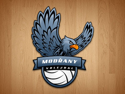 Volleyball Team Logo Ideas Logo Design Ideas