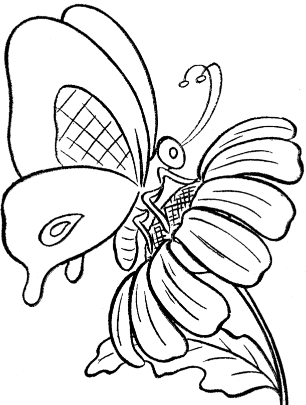 Cute butterfly with sweet smile. Free Coloring Pages Of Butterflies And Flowers Download Free Coloring Pages Of Butterflies And Flowers Png Images Free Cliparts On Clipart Library