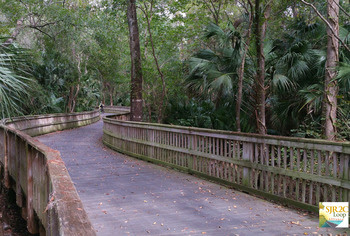 St. Johns River to Sea Loop by Maggie Ardito