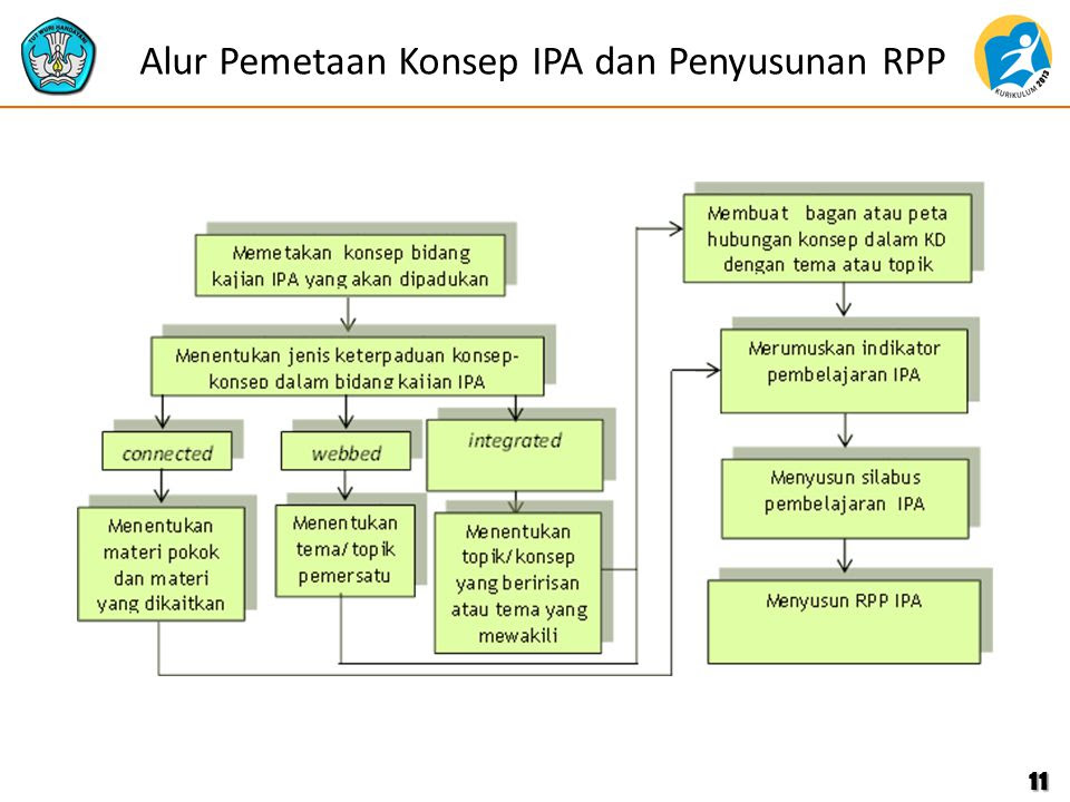 Contoh Hasil Observasi Lingkungan Sekitar - Frog Slinger