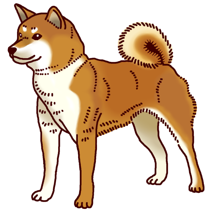 これまでで最高の犬 イラスト 柴犬 無料 無料イラスト集