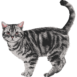 最高の猫 イラスト リアル 簡単 ディズニー画像のすべて