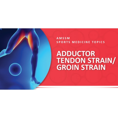 * the content is not intended to be a substitute for professional medical advice, diagnosis, or treatment. Adductor Tendon Strain Groin Strain Sports Medicine Today