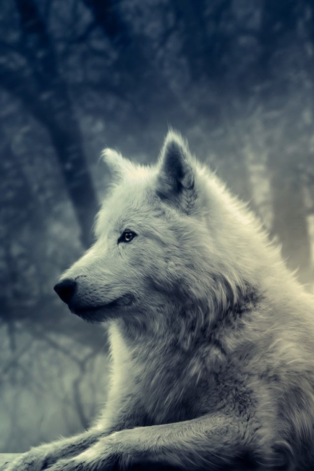White Wolf Painting 4K HD Desktop Wallpaper for 4K Ultra HD TV • Wide Ultra Widescreen 