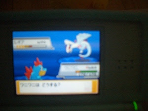 ソウルシルバー ルギア 色違い ソウルシルバー ルギア 色違い 乱数 Pict4ukyfp