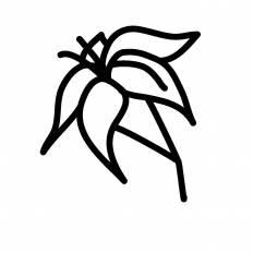 21年の最高 ゆり イラスト 白黒 Irasutogambar