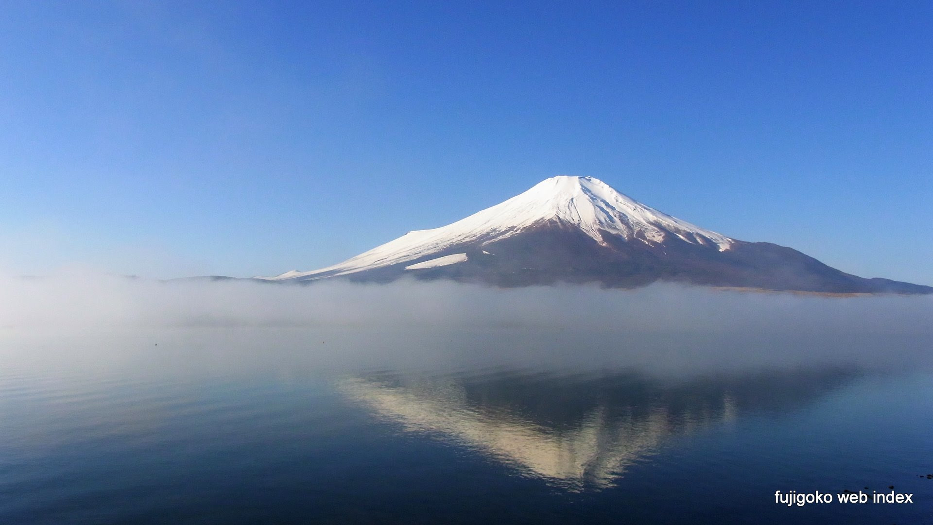 無料ダウンロード富士山 の 壁紙 すべての美しい花の画像