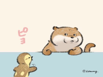 可愛い嘘のカワウソ 壁紙 Pc Udin