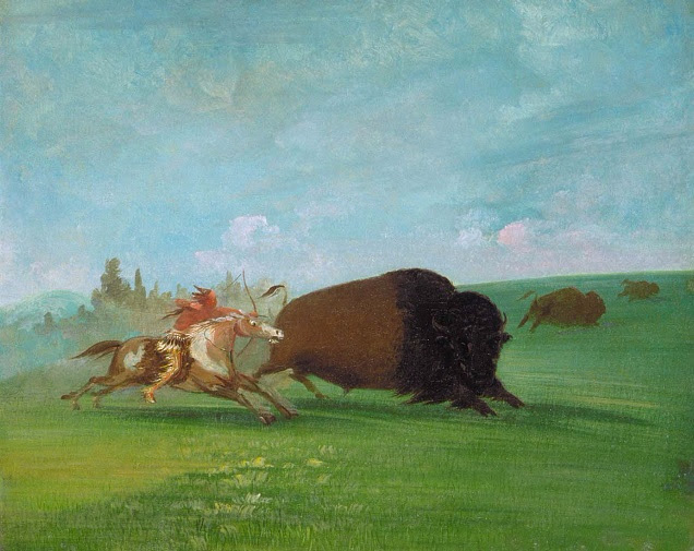 Buffalo Chase, a Single Death (636x505, 335Kb)