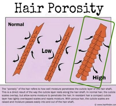 How to grow high porosity 4c hair. Moisturizing High Porosity Hair How To Moisturize And Seal