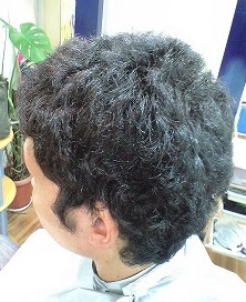 剛毛 髪型 Bartu Ansari