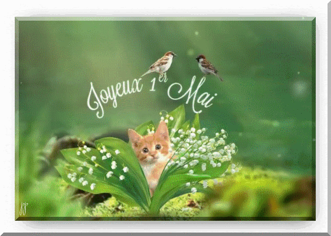 Muguet Image Animee Popular Century