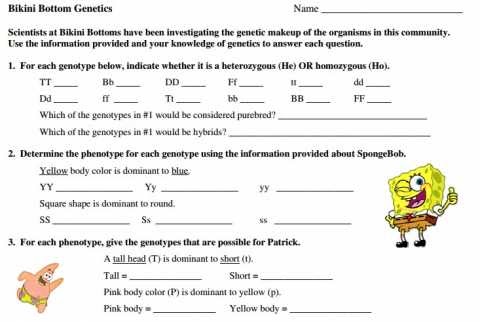 Spongebob Genetics Answer Key - Zork Genetics Worksheet ...