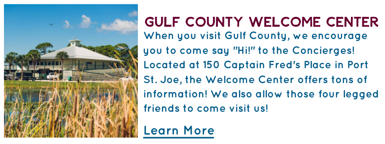 When you visit Gulf County, we encourage you to come say "Hi!" to the Concierges! Located at 150 Captain Fred's Place in Port St. Joe, the Welcome Center offers tons of information! We also allow those four legged friends to come visit us!  Learn More