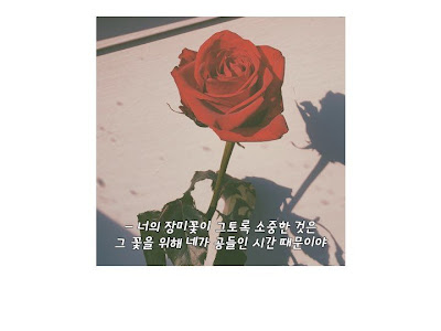 √70以上 画像 薔薇 おしゃれ 韓国 173493